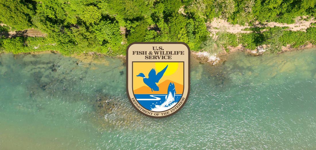 US Fish and Wildlife Service