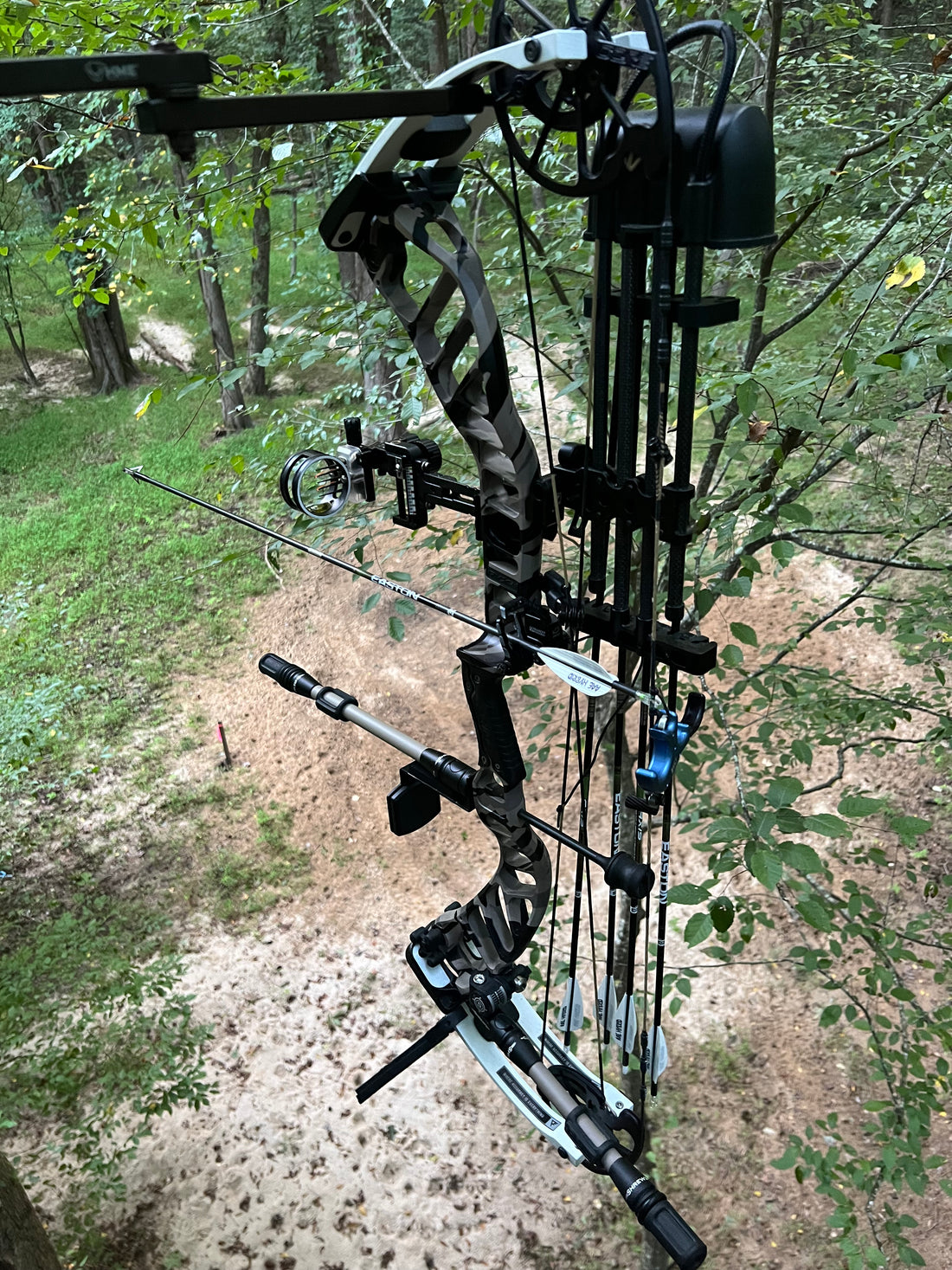 Public Land vs. Private Land: Where Should You Hunt?