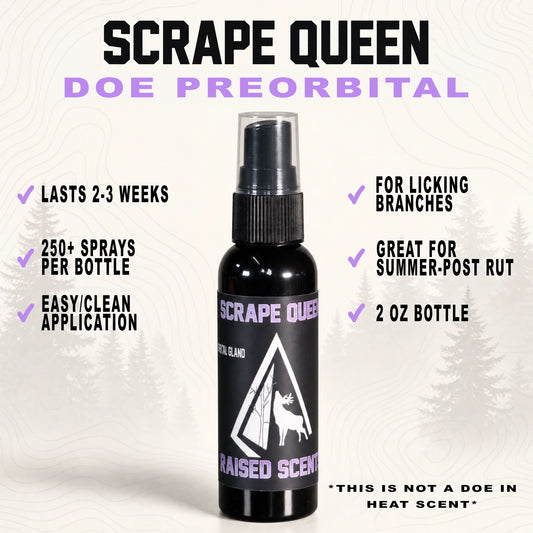 Scrape Queen | Doe Preorbital Gland