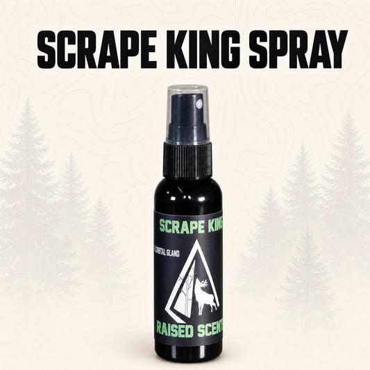 Scrape King | Buck Preorbital Gland