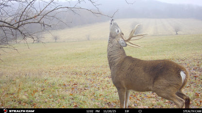 The Rut System | Peak Rut