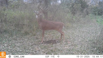 The Rut System | Peak Rut