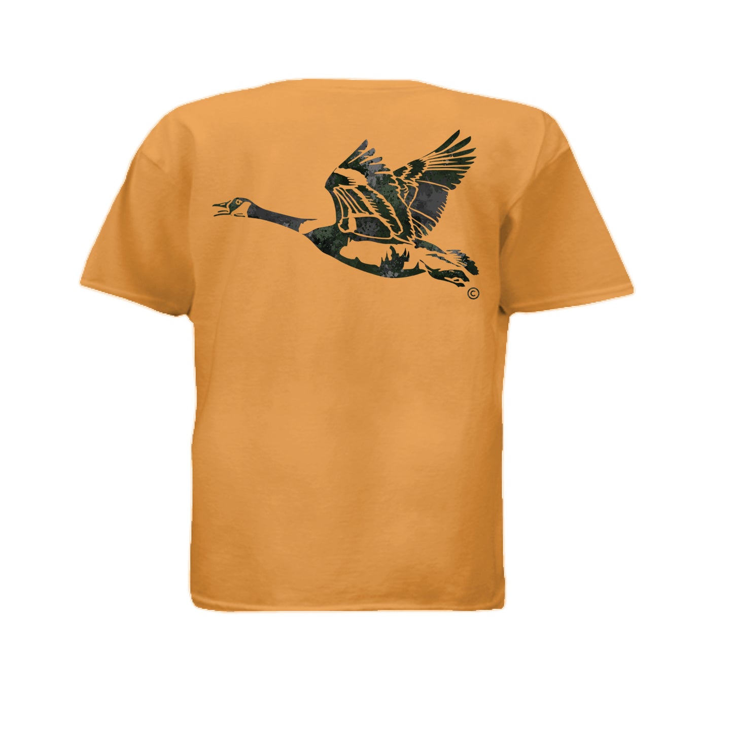 ORANGE - BACK